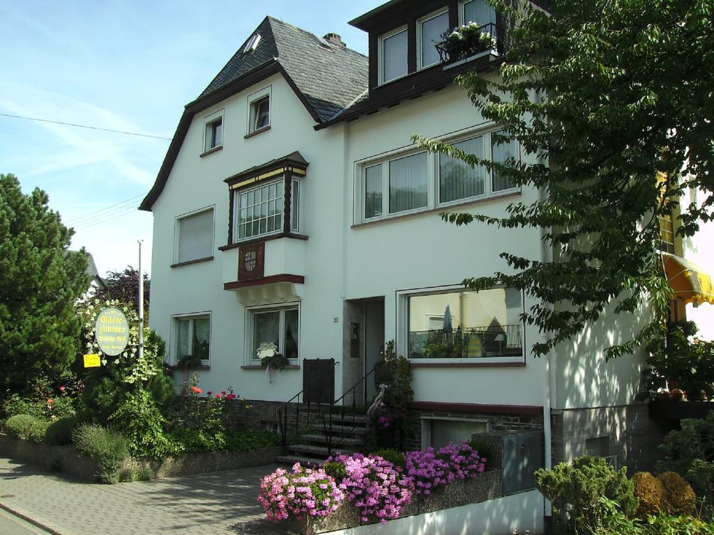 Haus Marientaler Au Gbr Hotel Zell an der Mosel Exterior photo